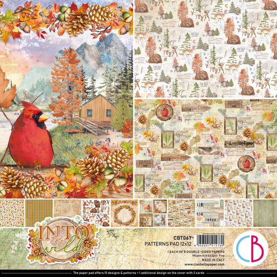 Papier scrapbooking Ciao Bella Into the Wild 8fe 30x30 assortiment