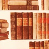 papier-fantaisie-livre-marron-papier-cartonnage-papier-meuble-en-carton