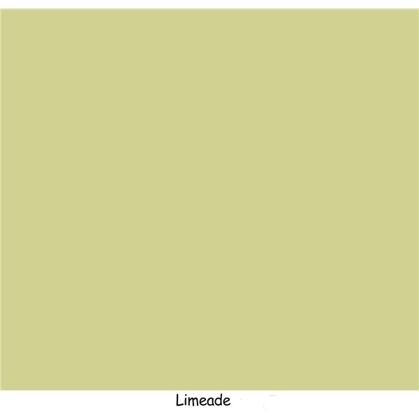 Peinture Dixie Belle Limeade 4oz 118ml