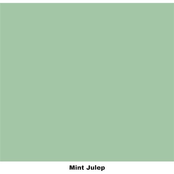 Peinture Dixie Belle Mint Julep 4oz 118ml