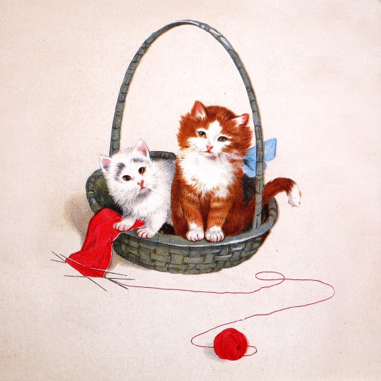 Carte postale Ludom les petits chats dans leur corbeille Carte postale Ludom les petits chats dans leur corbeille