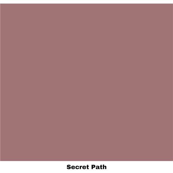 Peinture Dixie Belle Secret Path Cottage Collection 8oz 237ml