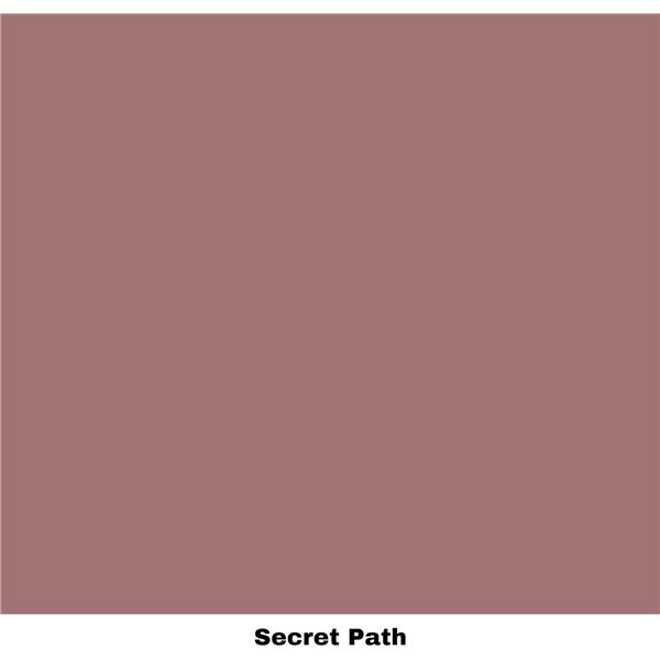 Peinture Dixie Belle Secret Path Cottage Collection 4oz 118ml