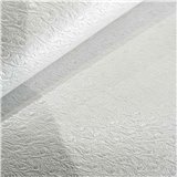Papier Skivertex ostra simili cuir autruche blanc 50x70cm