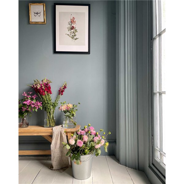 Wall Paint Peinture murale Annie Sloan Cambrian Blue Bleu Gris 120ml