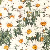 Papier tassotti à motifs marguerite