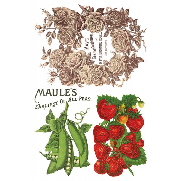 Transfert pelliculable IOD Seed Catalogue