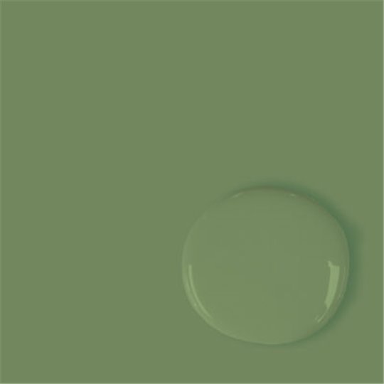 Peinture Annie Sloan Chalk Paint Capability Green 1L