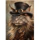 Papier fibre pour découpage Redesign A1 Steammeow
