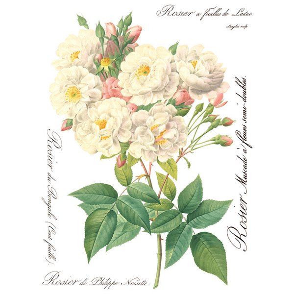 Transfert pelliculable IOD Rose Botanical 30x40cm 8f