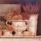 Carte d'art fleurs marché aux fleurs kathryn white 17.8x17.8cm
