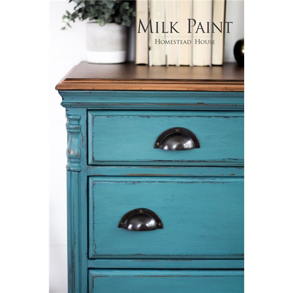 Peinture au lait Fusion Mineral Paint turquoise Renfrew 50g