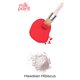 Peinture au lait Fusion Mineral Paint rouge Hawaiian Hibiscus 50g