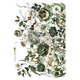 Transfert pelliculable Redesign Botanical Journal 60x88cm