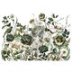 Transfert pelliculable Redesign Botanical Journal 4 feuilles 60x88cm