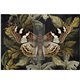 Papier fibre pour découpage Redesign A1 Butterfly Conservatory Tales