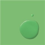 Peinture Annie Sloan Chalk Paint vert Antibes Green 1L