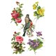 Transfert pelliculable IOD Catharina 8fe 30x20cm