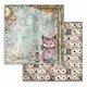 Papier scrapbooking assortiment Master of Magic Stamperia 10f 20x20
