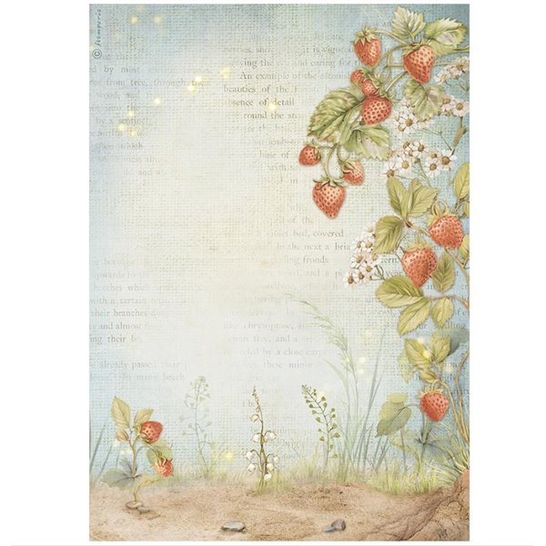 Papier de riz Stamperia Hidden Grove strawberries A4