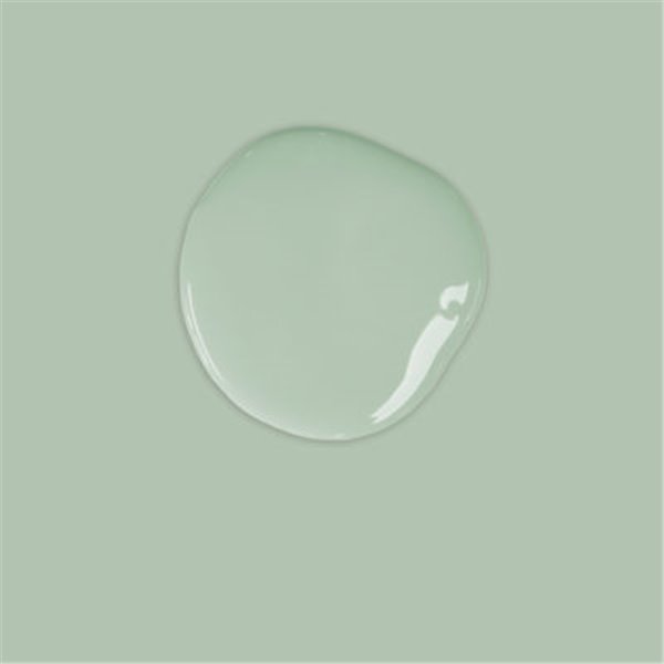 Peinture Annie Sloan Chalk Paint bleu Duck Egg Blue 1L