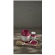 Peinture Alchemy Fusion Raspberry 120ml