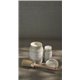 Peinture Alchemy Fusion WhiteOak 120ml