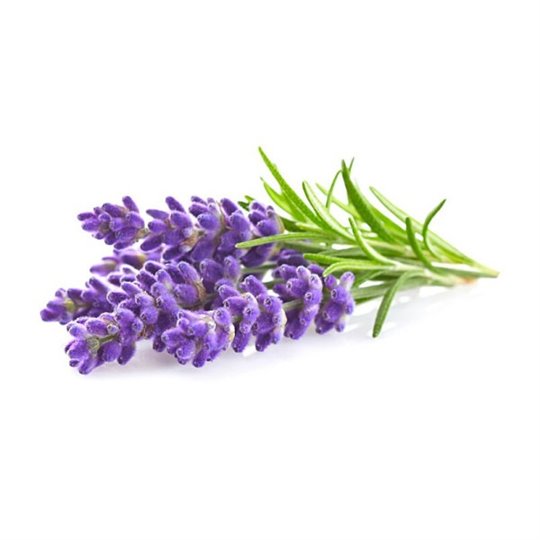 Senteur pour bougie lavande 27ml