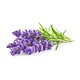 Senteur pour bougie lavande 27ml