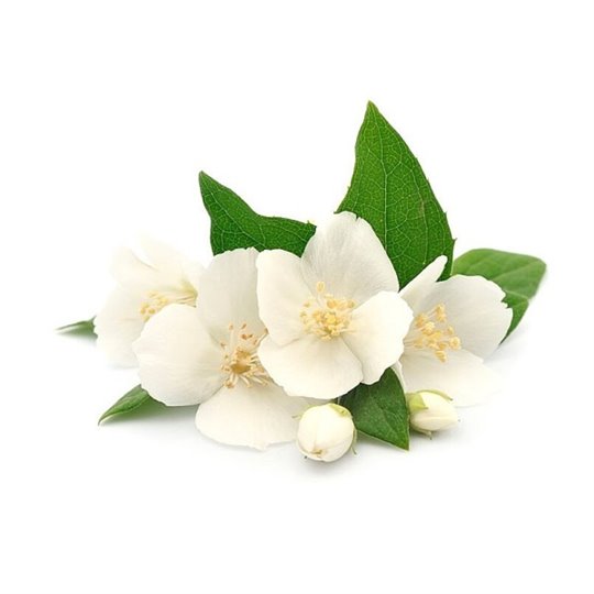 Senteur pour bougie jasmin 27ml