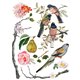 Transfert pelliculable IOD Menagerie Xfe xcm