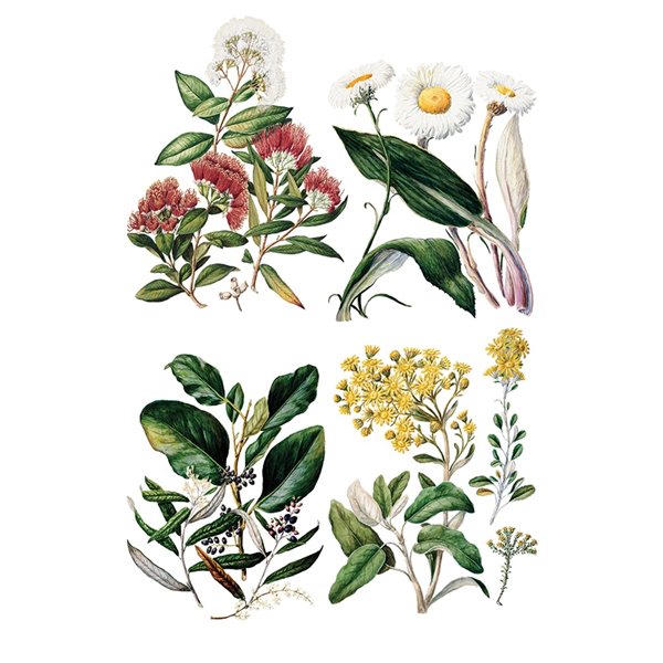 Transfert pelliculable IOD Sarah Featon's Botanicals Xfe xcm