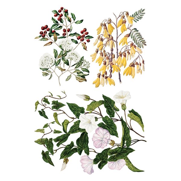 Transfert pelliculable IOD Sarah Featon's Botanicals Xfe xcm