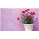Paint Inlay Transfert IOD Ditsy Bloom 8fe 40x30cm