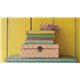 Paint Inlay Transfert IOD Ditsy Bloom 8fe 40x30cm