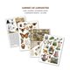 Ephemera Book Ciao Bella Cabinet of Curiosities A4