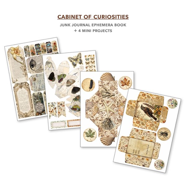 Ephemera Book Ciao Bella Cabinet of Curiosities A4