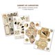 Ephemera Book Ciao Bella Cabinet of Curiosities A4