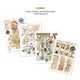 Ephemera Book Ciao Bella Codex A4