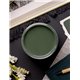 Peinture Dixie Belle vert Briar Patch 8oz 237ml