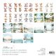 Papier scrapbooking assortiment Creative Craftlab Summer Breeze 36fe 20x20