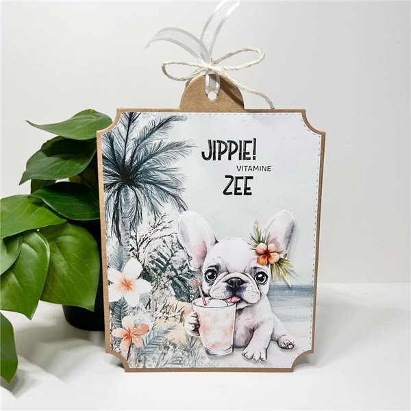 Papier scrapbooking assortiment Creative Craftlab Summer Breeze 36fe 20x20