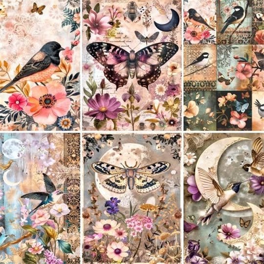 Papier de riz Oiseaux et Papillons A4 x6