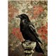 Papier de riz sans fibre Dragonfly A3 Crow 1