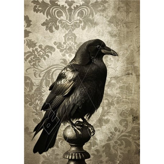 Papier de riz sans fibre Dragonfly A3 Crow 4