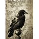 Papier de riz sans fibre Dragonfly A3 Crow 4