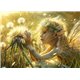 Papier de riz sans fibre Dragonfly A3 Dandelion Fairy 1