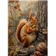 Papier de riz sans fibre Dragonfly A3 Red Squirrel 4