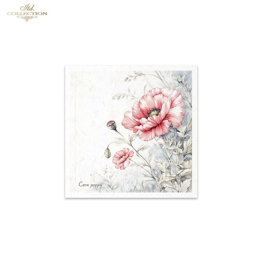 Set de 6 Papiers de riz assortiment Meadow 15x15cm