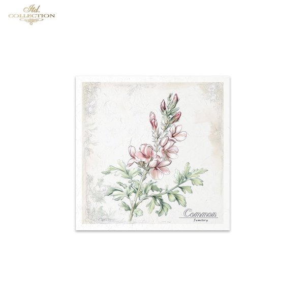 Set de 6 Papiers de riz assortiment Meadow 15x15cm